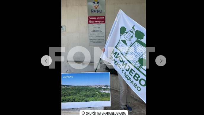 Odbrana šume Bajdina